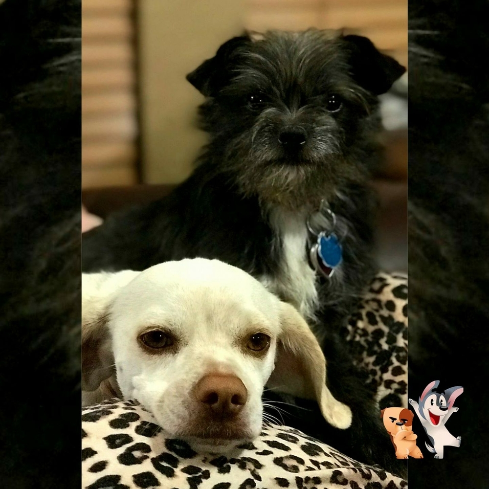 Meet your Posher, Christie